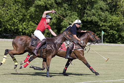 Photo by Peter Meade Photography www.petermeadephotography.com